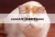 62800大写（中国数字62800）
